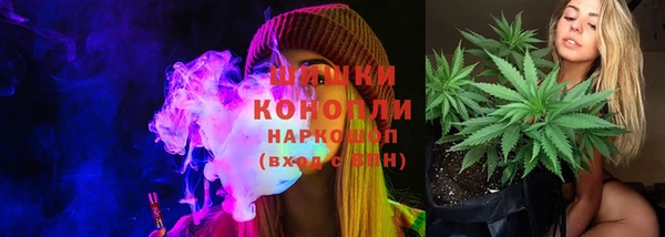 тгк Великий Новгород
