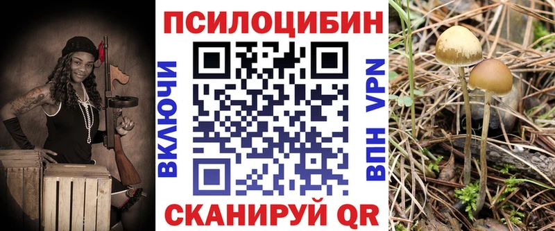 Псилоцибиновые грибы Magic Shrooms наркотики Абакан
