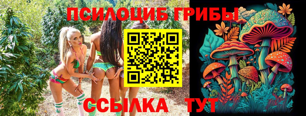 Псилоцибиновые грибы ЛСД  Абакан 