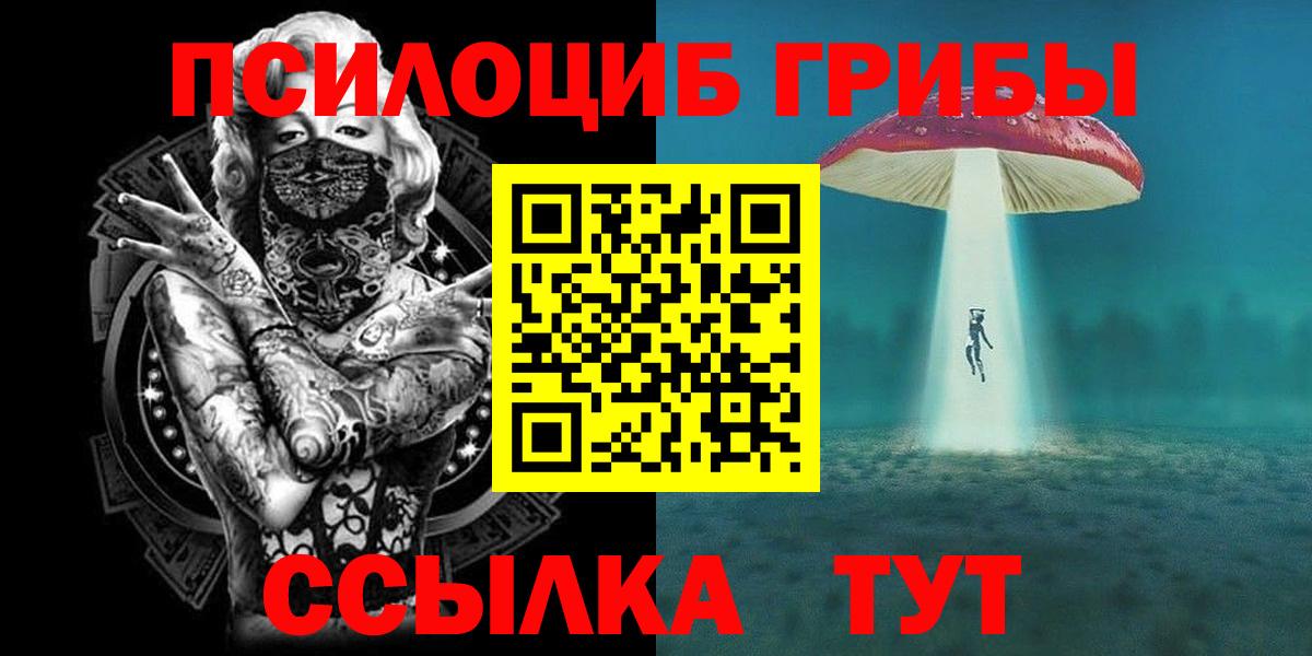 Псилоцибиновые грибы Psilocybe Абакан